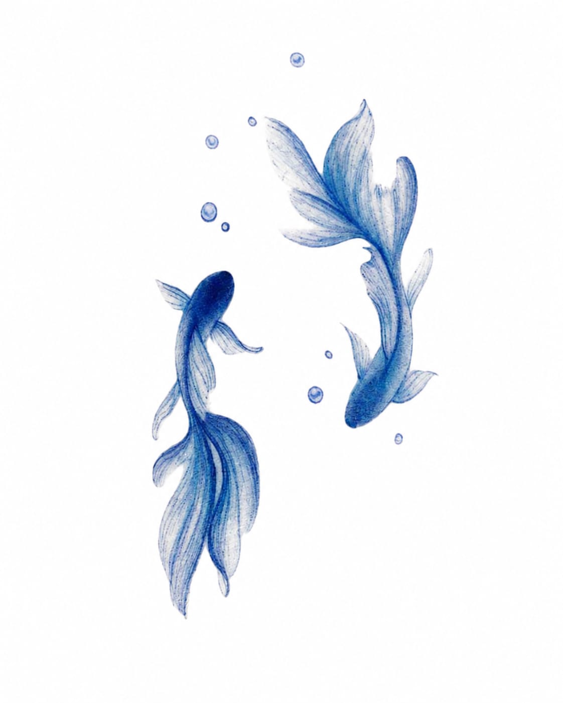 Koi infinite fishes