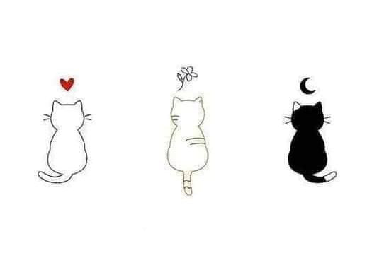 The Cat trio temporary tattoo