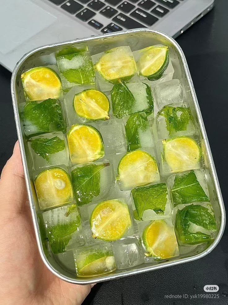 Signature Infused Ice Cubes ( lemon , orange , cucumber , mint infused)