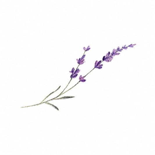 Lavender 2 stem temporary tattoo