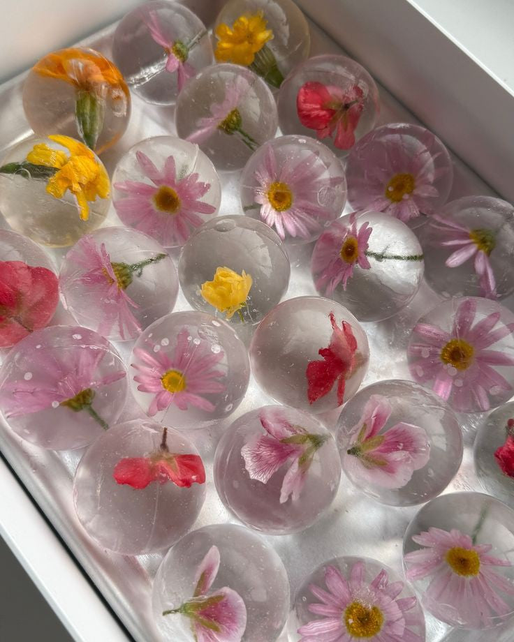 Edible Flowers infused ice cubes