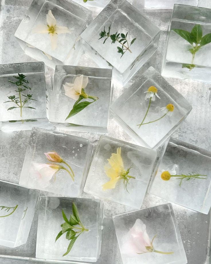 Edible Flowers infused ice cubes
