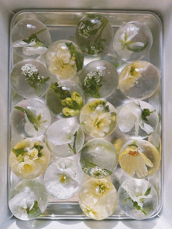 Edible Flowers infused ice cubes