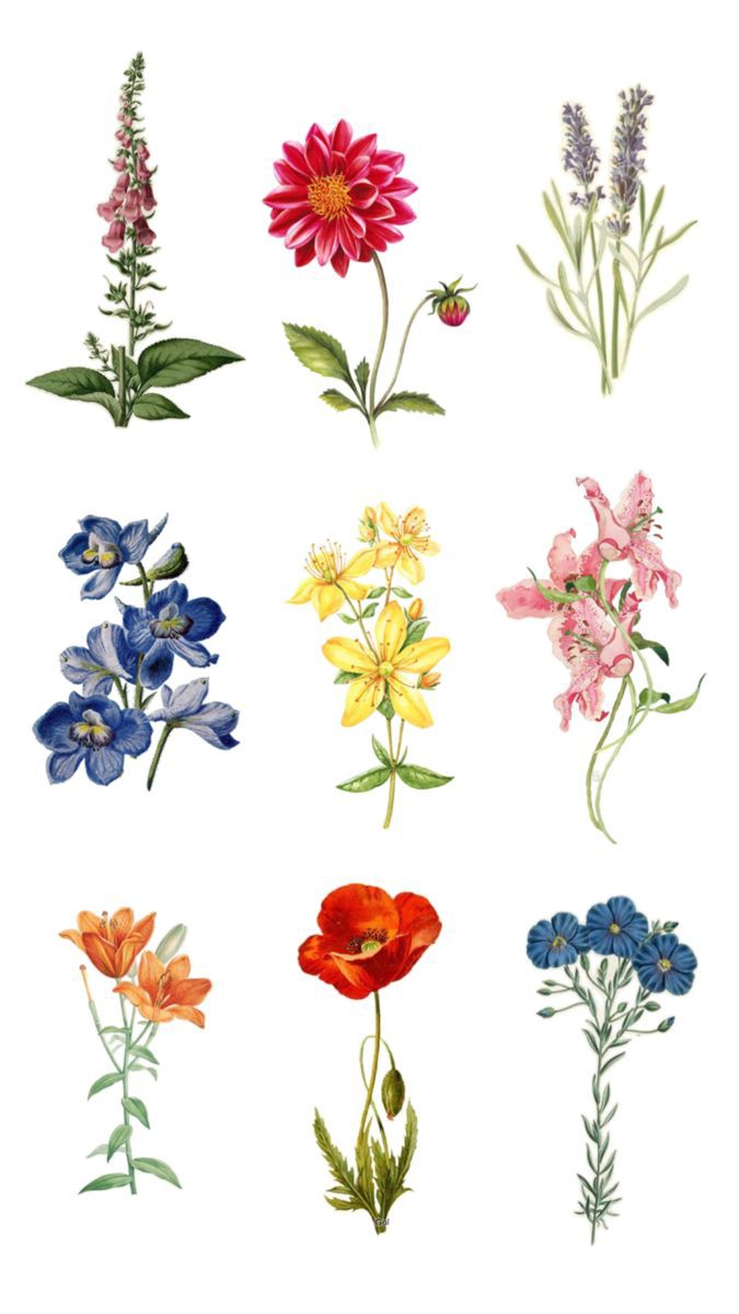 Pack of 9 flower temporary tattoos